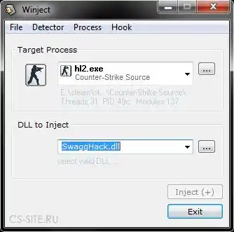 Winject - Инжектор